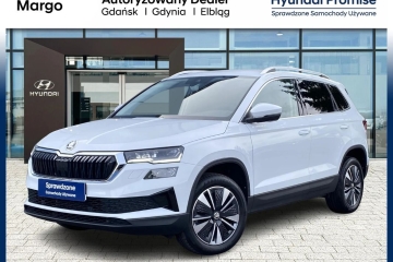 Kamera / Czujniki tylne / Virtual Cockpit / Hyundai Margo