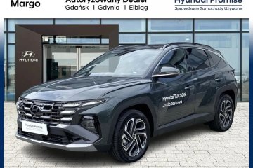 SUN /Navi+AndroidAuto,CarPlay/audio Krell/Kamery360/ Hyundai Margo