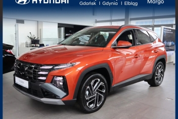 Platinum / Automat / Skóry / Kamery 360 / Hyundai Margo